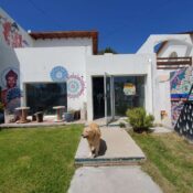 Hostel Roots Backpackers