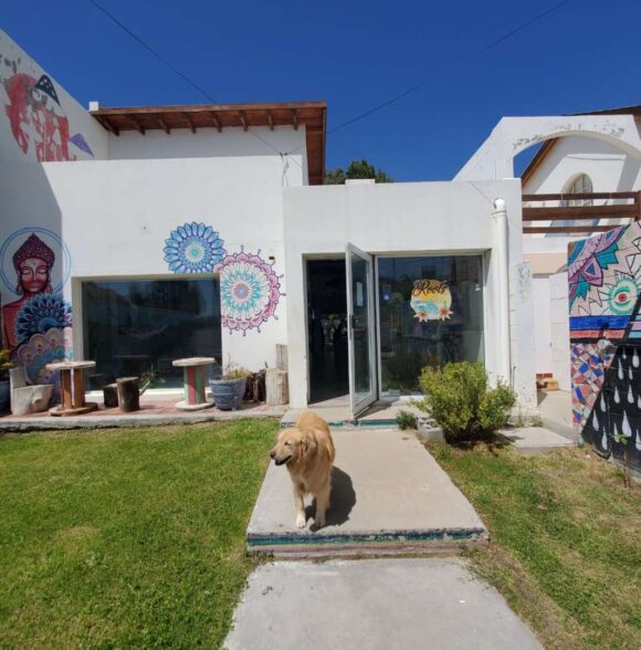 Hostel Roots Backpackers